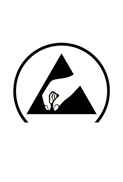 Anti-static safety shoes