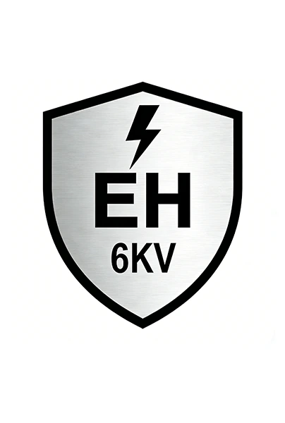 Electrical hazard (EH)